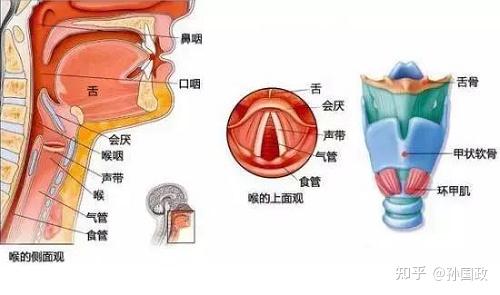 孙国政医生科普声带息肉声带息肉需要和哪些疾病鉴别诊断