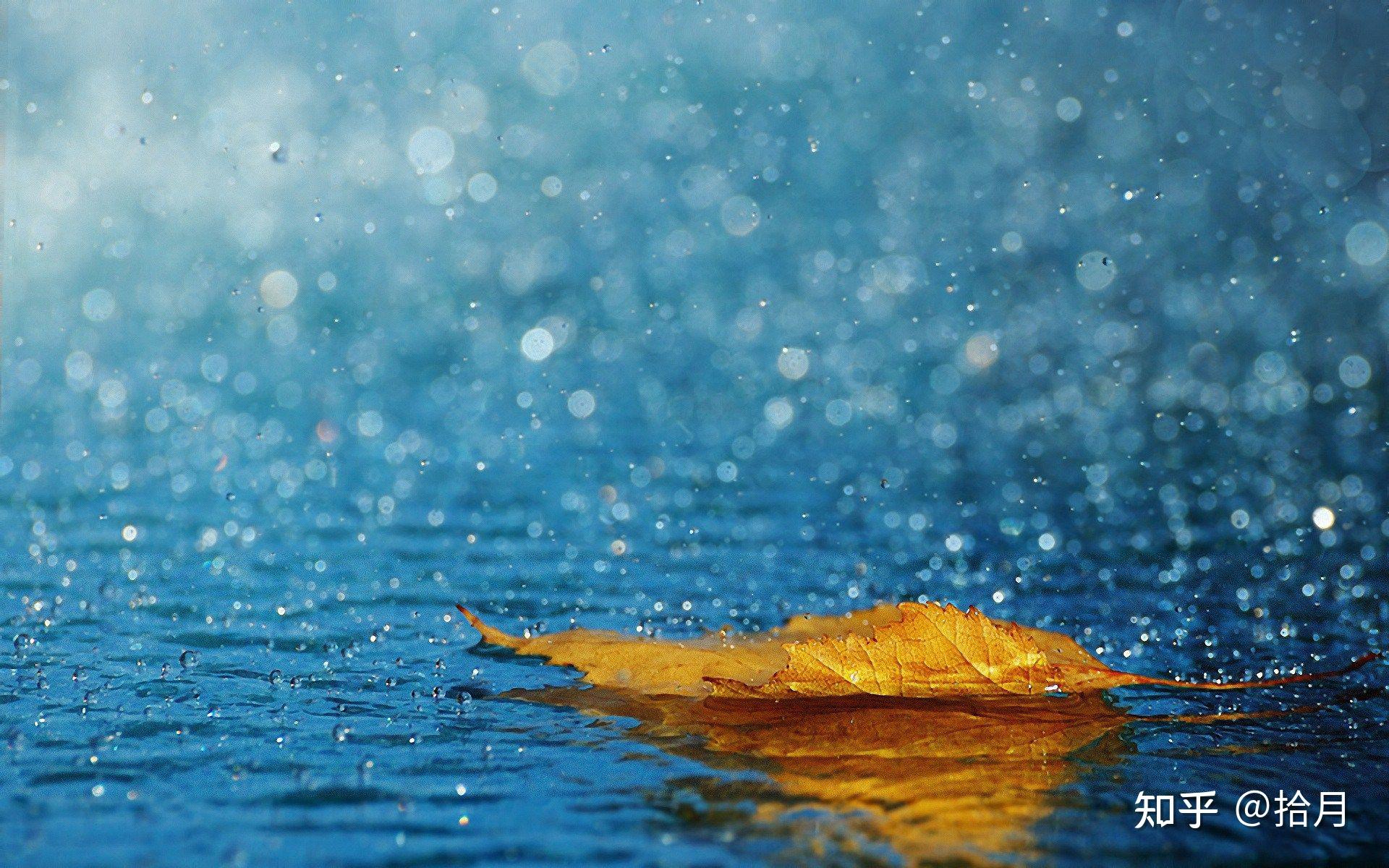 进入夏季雨水频繁有哪些描写雨的诗句和美文