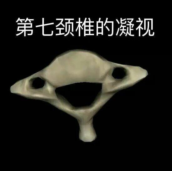 来自于骨架 在此,对之前实验课上杀的蟾蜍,牛蛙和兔子感浇抱歉.