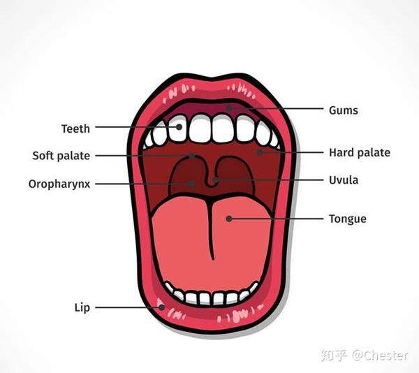 唱歌时候的气息如何练习?