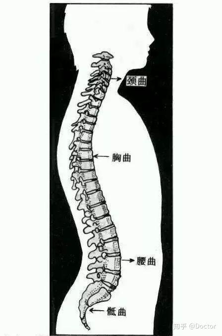 颈椎生理曲度变直该怎么办?