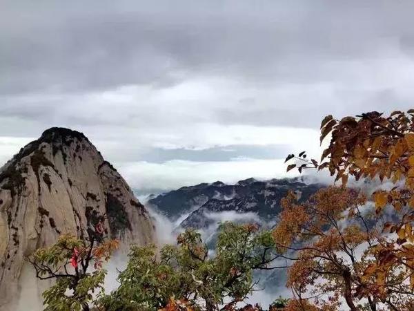 山木秋来皆有姿感恩光景来华山