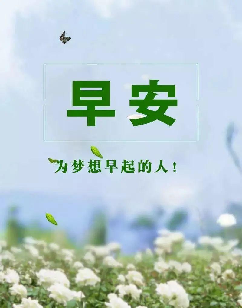 11,早安!当你睁开双眼,祝福已飞到你面前