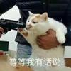 刃千雪