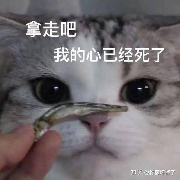 那些年对男朋友用的表情包