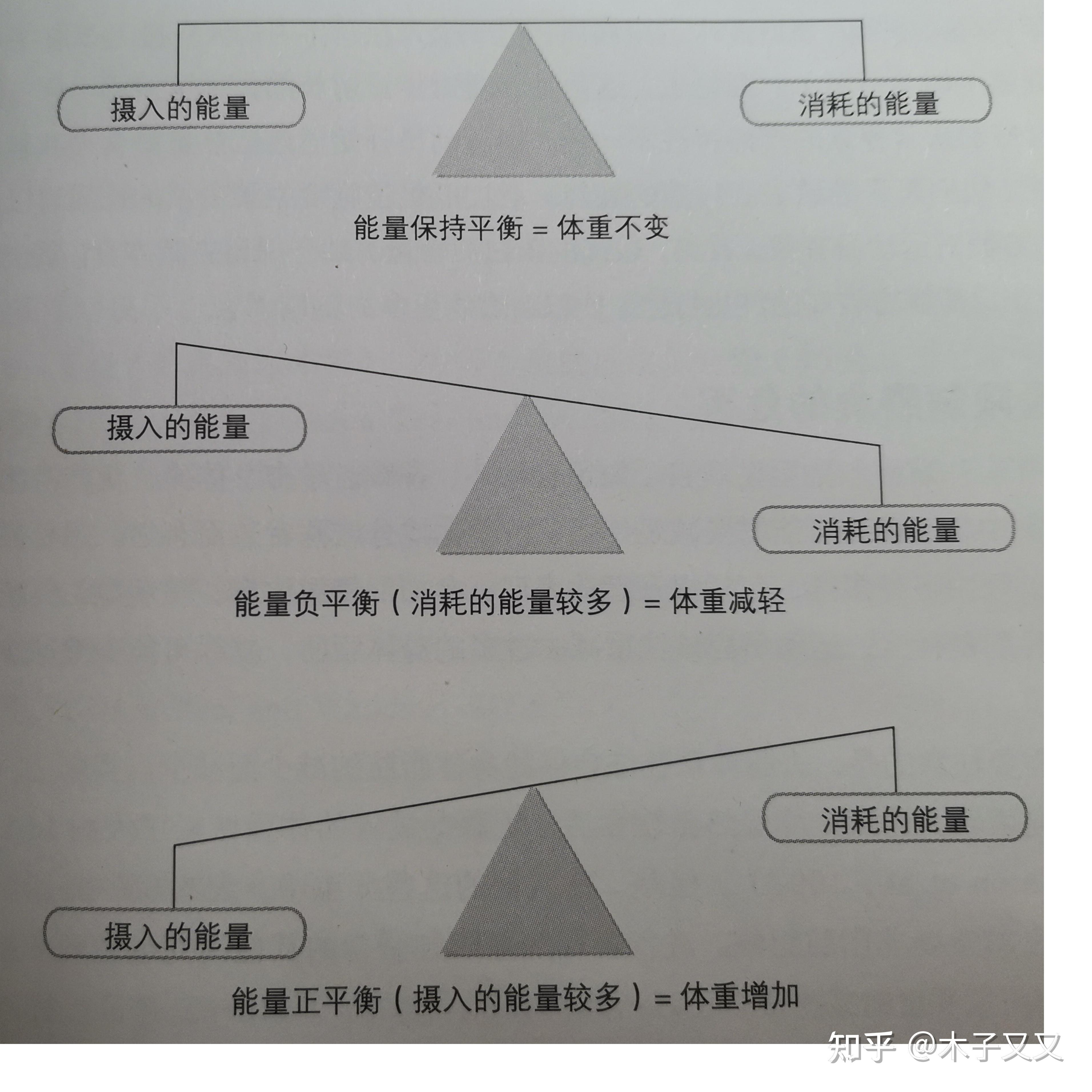 减脂中的能量平衡原理