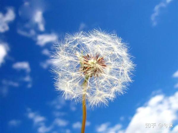 关于开展三期职场分享微课的心得体会