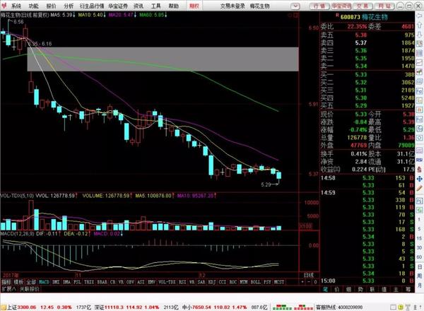 柠檬诊股 | 600873 梅花生物 果然是味精巨头,总是走出同样味道的走势
