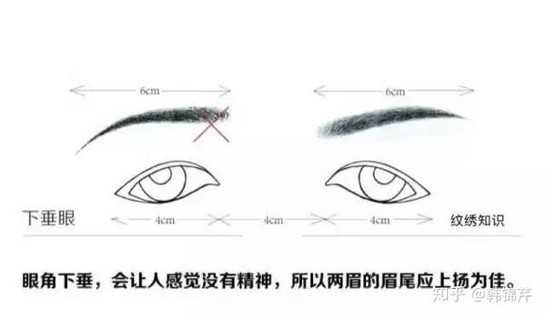 下垂眼应该选择什么样的眉型啊,求解?