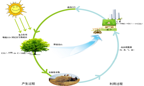 中国的生物质能都有哪些特点?发展趋势如何呢?