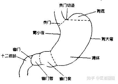 胃镜检查时应该注意活检排除癌变!