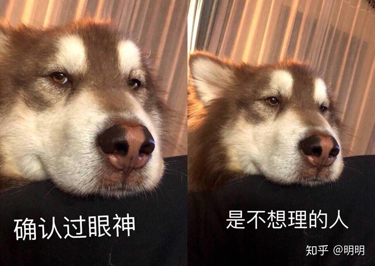 有哪些怼表情的死人?刘梓晨最新表情包图片