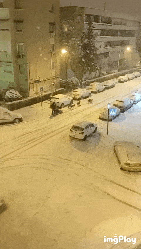 罕见的大雪,打乱了马德里的生活节奏,但是也留给了人们一丝惊喜,雪中