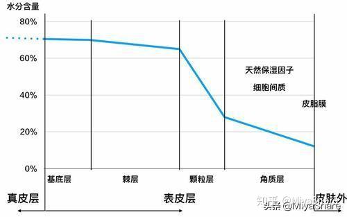 也就是说,如果你是一个50kg的成年人,你体内的水分重量能达到35kg左右