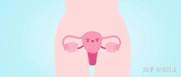 女性雌性激素高的原因,性激素六项注意事项