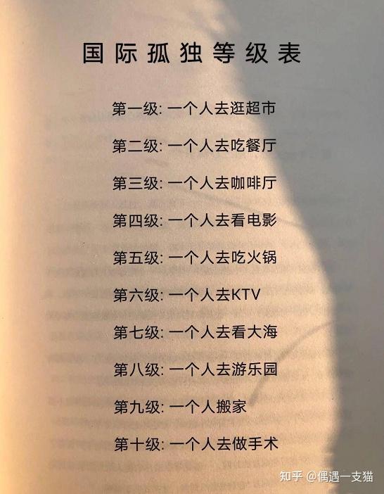 一个人去旅游的孤独等级是多少?