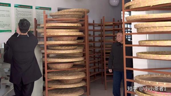 寻茗记茶山行常州茶协与洞庭碧螺春的邂逅