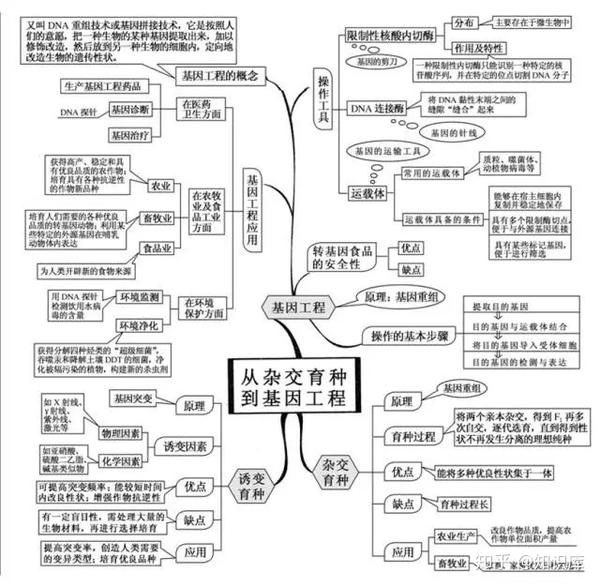 高中生物思维导图来袭,同学们快快收藏分享!