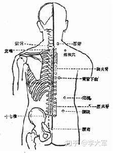 二,过夹脊关.