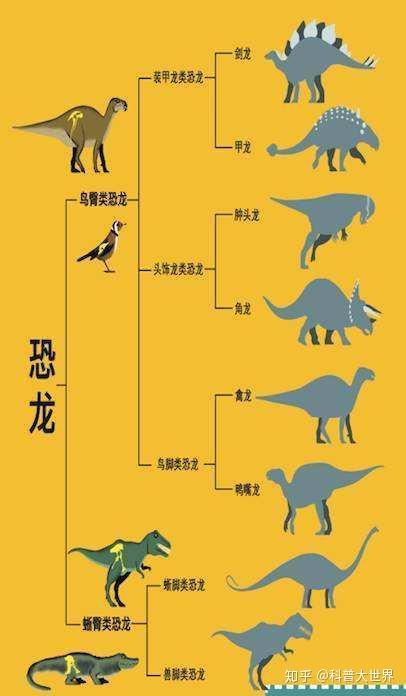 恐龙的体态差别为何那么大?有的会飞有的会游,其实很多不是恐龙