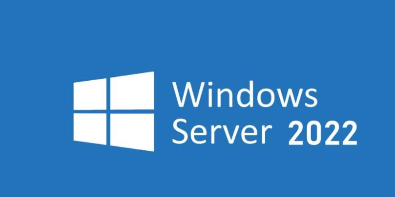 并且从原先预设的windows server vnexting名称重命名为windows