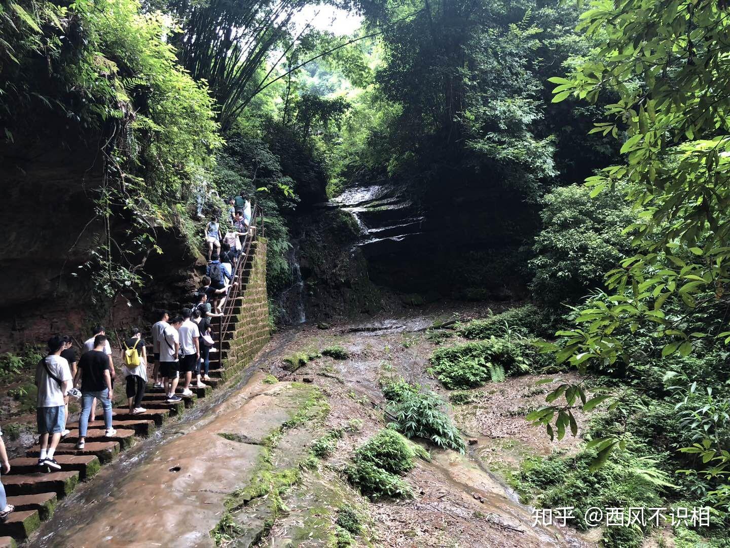 成都邛崃川西竹海一日游邛崃旅游景点