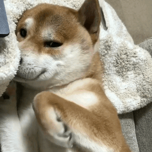 当你喜欢一个人时,做过什么蠢事?