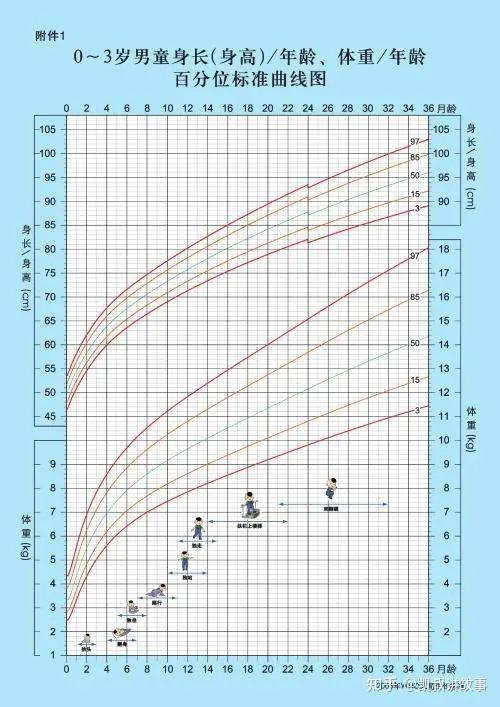 2021身高发育对照表出炉,快看看你家娃达标了没!