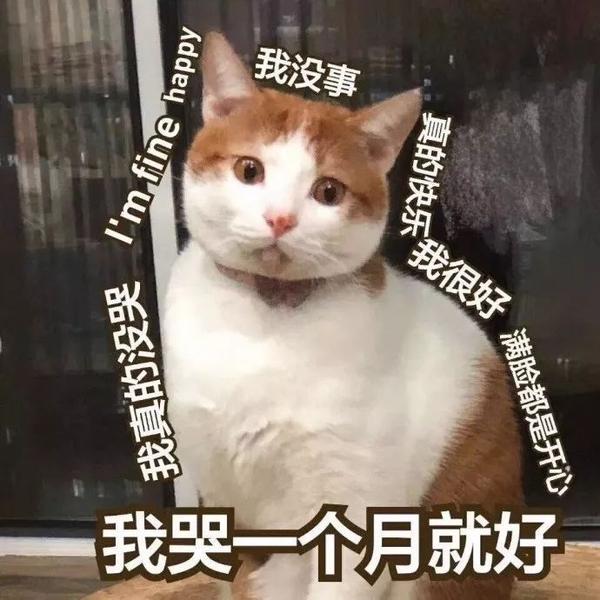 早上起来感觉嘴比之前能张得更大一点了,于是我继续作死地吃了一个大