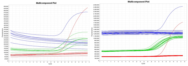 荧光定量pcr异常扩增曲线分析攻略