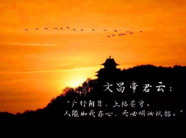 虚空道场因果实例261-280
