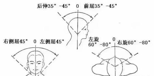 技术贴:手把手教你颈部rom测量