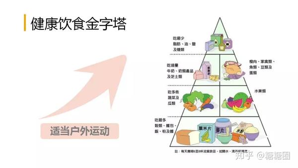 (遵循饮食金字塔)