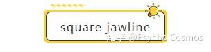 形容一个人,尤其是男人的面部线条比较硬朗,可以用have a square jaw