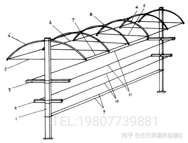 葡萄使用避雨棚架有哪些作用?