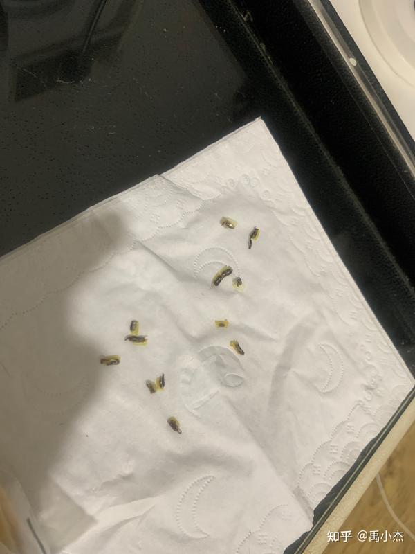 25岁割包皮第三天实录过程详细