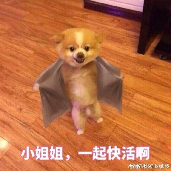 你们有哪些骚气的表情包?