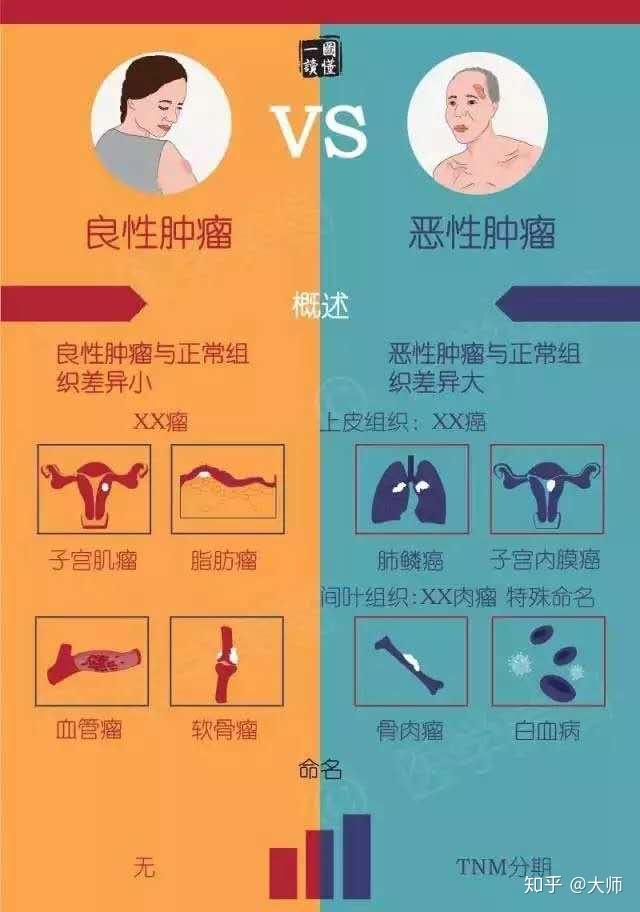 良性肿瘤与恶性肿瘤的本质区别是什么