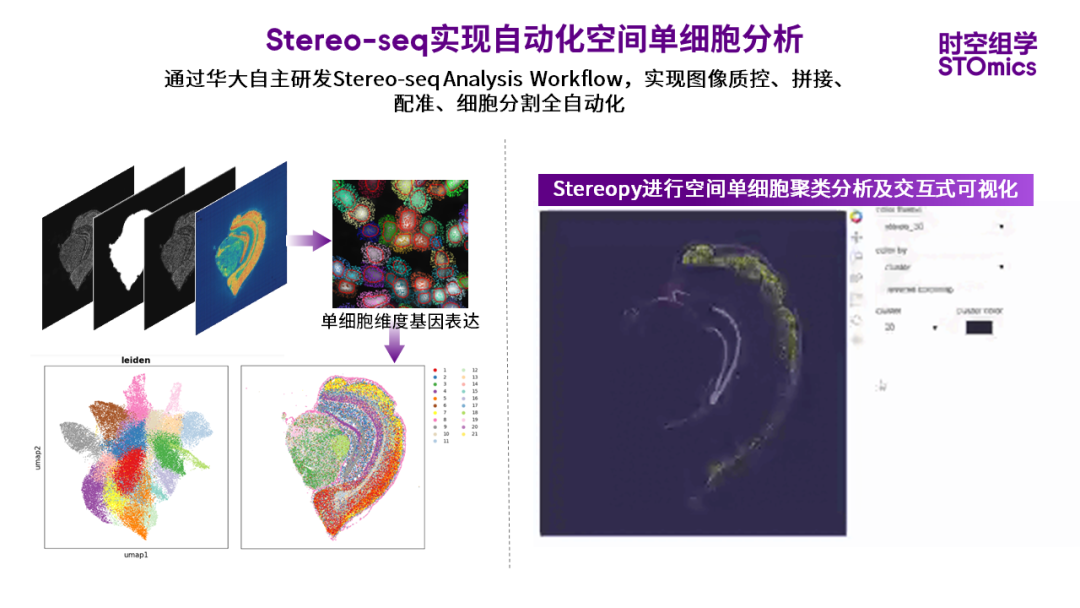 重磅 人人可及时空组学技术Stereo seq再次升级 知乎