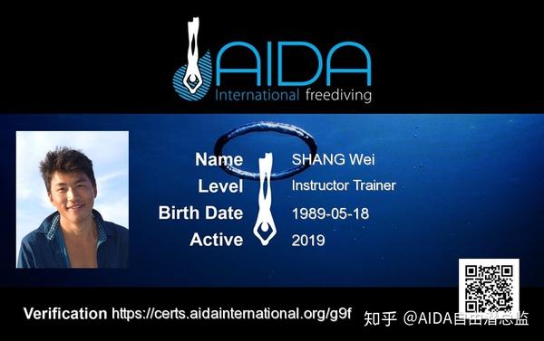 第一,ssi,aida,padi这三个自由潜水组织有什么区别?