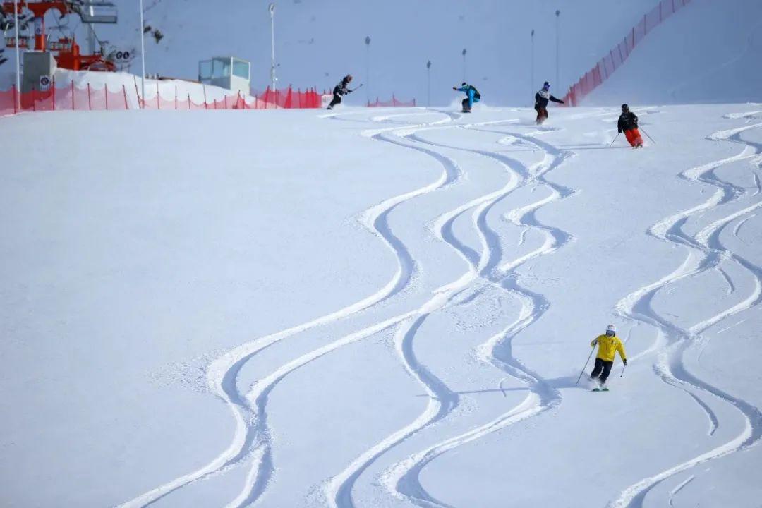 我是阿勒泰将军山滑雪场这个雪季欢迎你带上通滑卡来找我玩