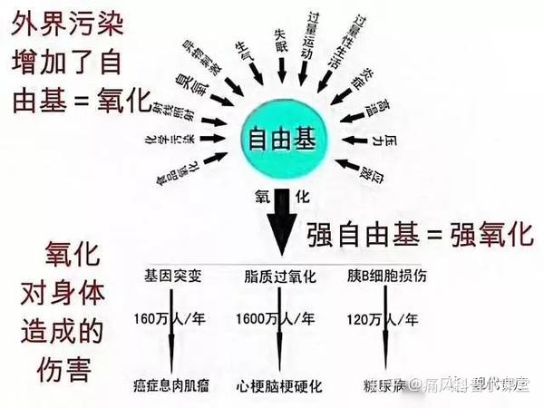 当你了解自由基,就不会去降尿酸