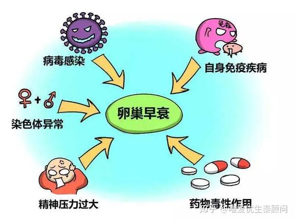 导致卵巢早衰的因素有哪些卵巢早衰该怎么治