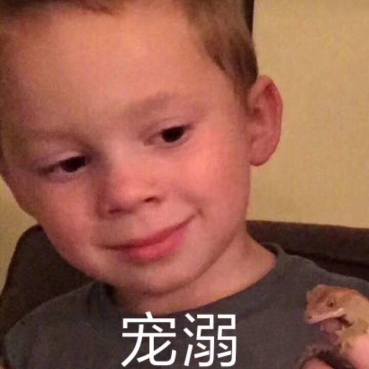 萌又可爱的小孩子小刚?例如1表情邓布利多表情包几,权律二,图片