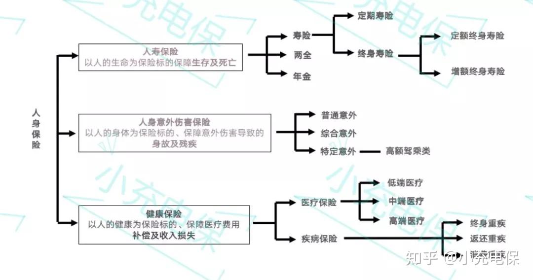 人身保险都有哪些?