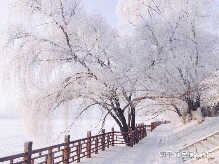 国内冬天有哪些城市会下雪?哪座城市的「雪中美景」令