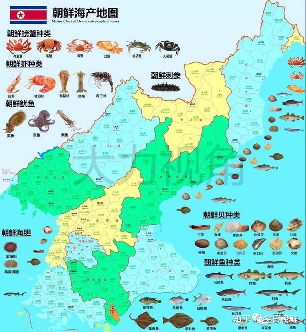 收藏| 朝鲜商机--海产资源丰富,潜力巨大