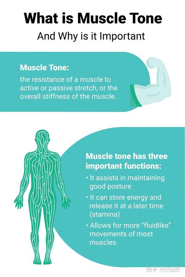 肌张力技术|muscle tone techniques