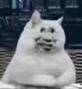 噗呲,比较杂,我个人还是很喜欢熊猫头表情包的 好啦好啦!多图预警!