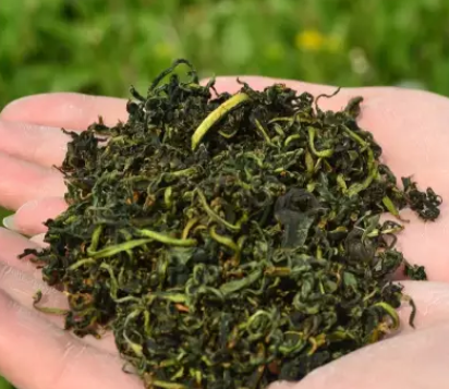 蒲公英茶的制作方法(教你一步一步做)